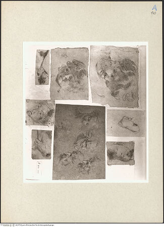 Vorderseite von bh247524_recto