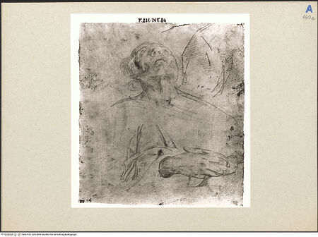 Vorderseite von bh247525_recto