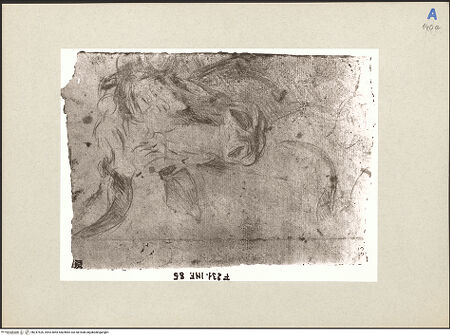 Vorderseite von bh247526_recto