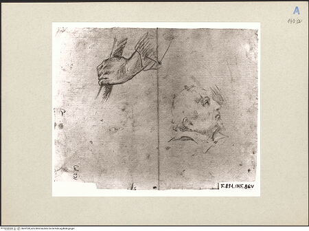 Vorderseite von bh247528_recto