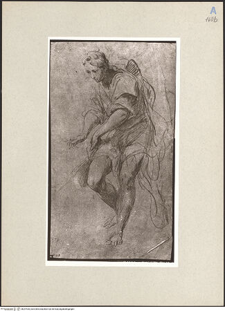 Vorderseite von bh247530_recto