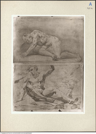 Vorderseite von bh247531_recto