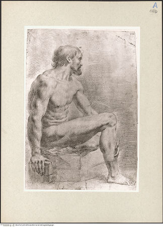 Vorderseite von bh247532_recto