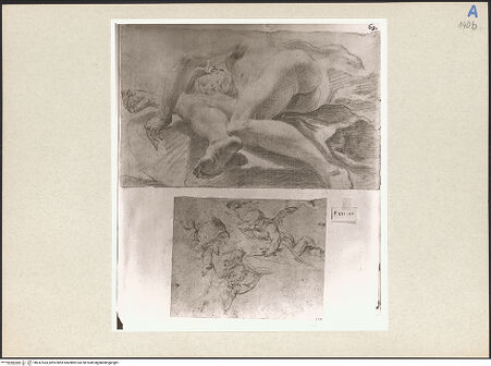 Vorderseite von bh247534_recto