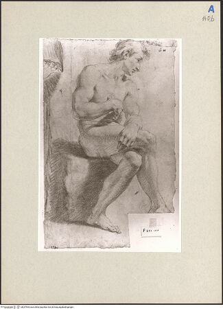 Vorderseite von bh247535_recto