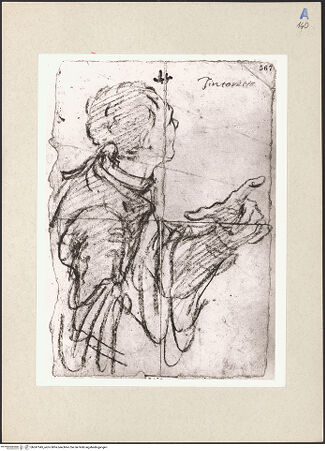 Vorderseite von bh247545_recto