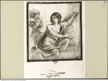 Vorderseite von bh247551_recto