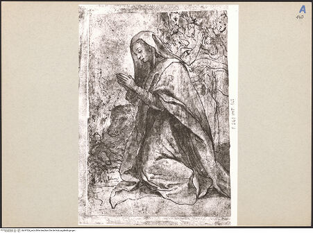 Vorderseite von bh247556_recto