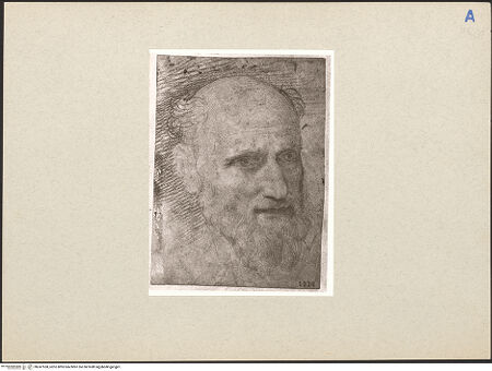 Vorderseite von bh247558_recto