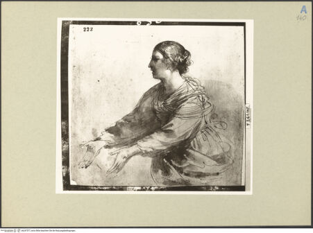 Vorderseite von bh247577_recto