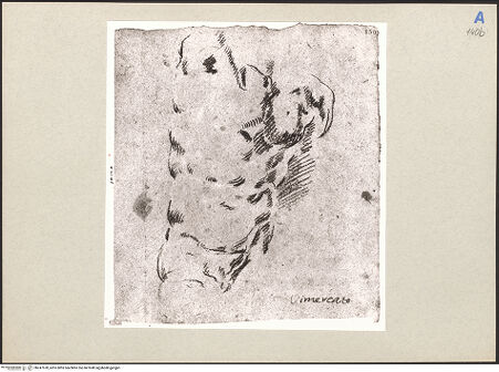 Vorderseite von bh247578_recto