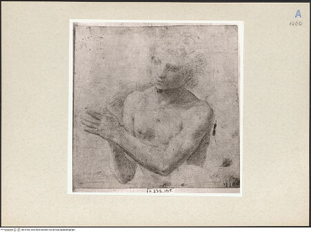 Vorderseite von bh247582_recto