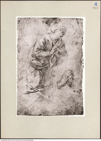 Vorderseite von bh247583_recto