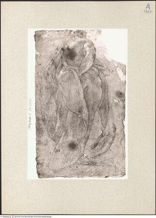 Vorderseite von bh247587_recto