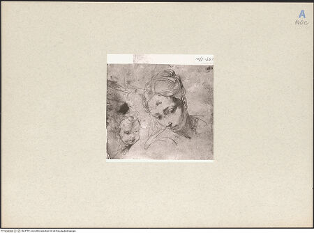 Vorderseite von bh247591_recto