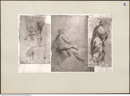 Vorderseite von bh247602_recto