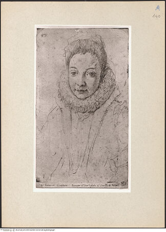 Vorderseite von bh247608_recto