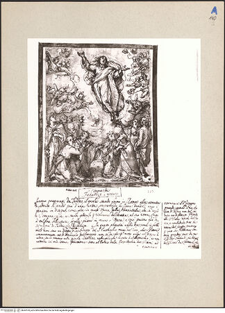 Vorderseite von bh247610_recto