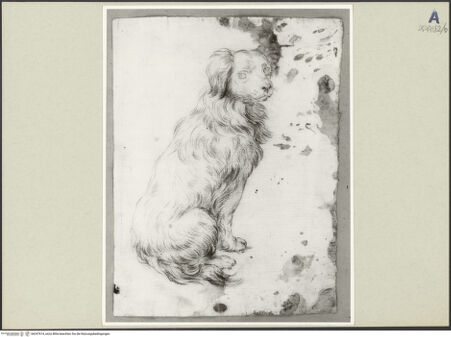 Vorderseite von bh247614_recto