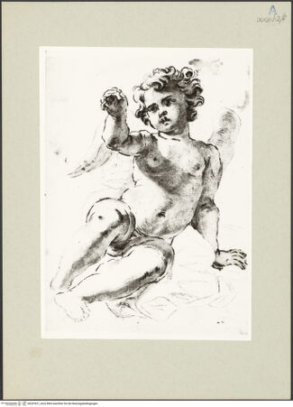 Vorderseite von bh247621_recto