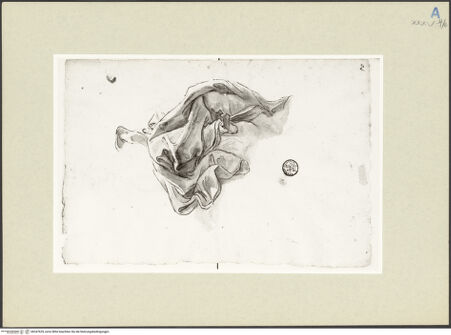 Vorderseite von bh247635_recto