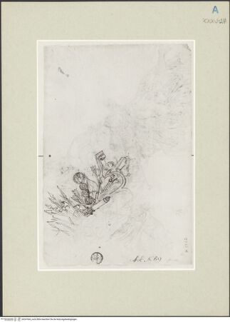 Vorderseite von bh247660_recto