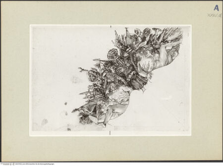 Vorderseite von bh247663_recto