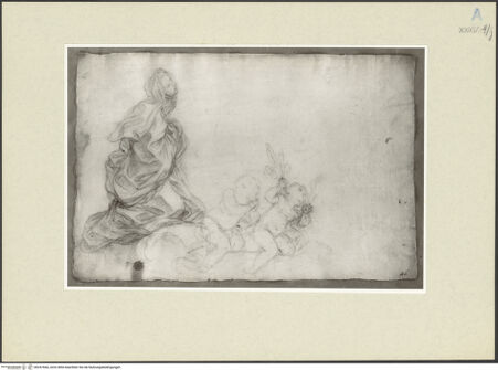 Vorderseite von bh247666_recto