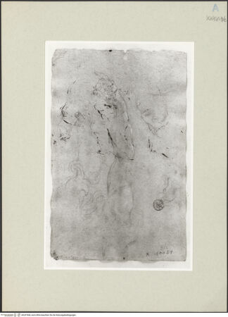 Vorderseite von bh247668_recto