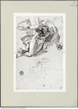 Vorderseite von bh247669_recto