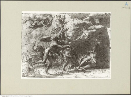 Vorderseite von bh247687_recto