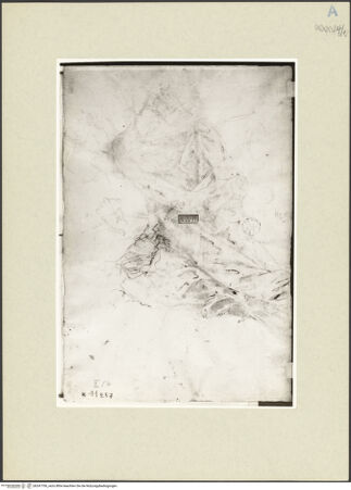 Vorderseite von bh247706_recto