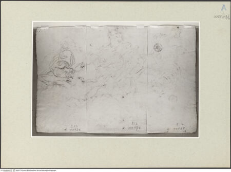 Vorderseite von bh247719_recto