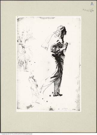 Vorderseite von bh247738_recto