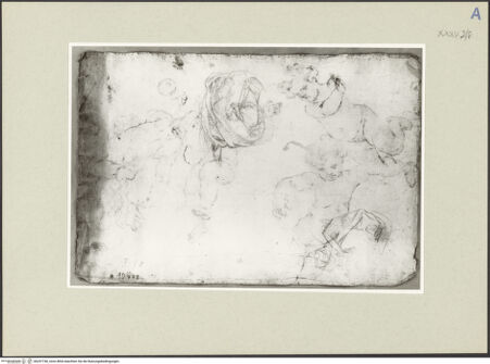 Vorderseite von bh247740_recto