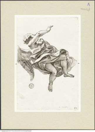 Vorderseite von bh247749_recto