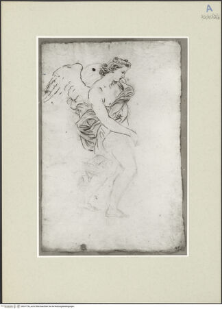 Vorderseite von bh247756_recto