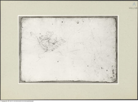 Vorderseite von bh247757_recto