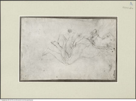 Vorderseite von bh247783_recto