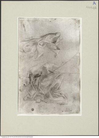 Vorderseite von bh247799_recto