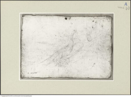 Vorderseite von bh247807_recto