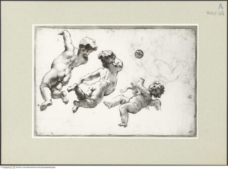 Vorderseite von bh247812_recto