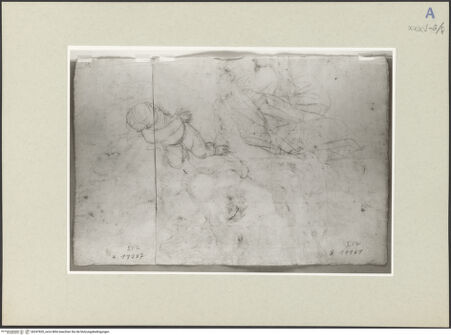 Vorderseite von bh247820_recto