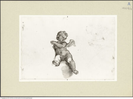 Vorderseite von bh247830_recto