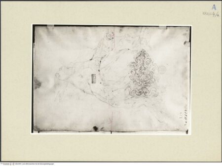 Vorderseite von bh247831_recto