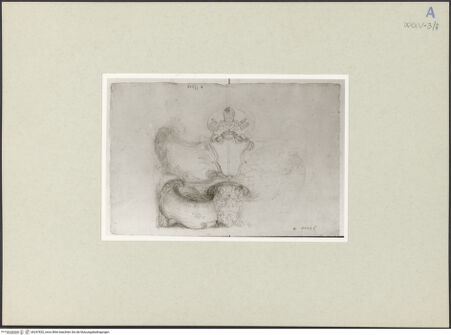 Vorderseite von bh247832_recto