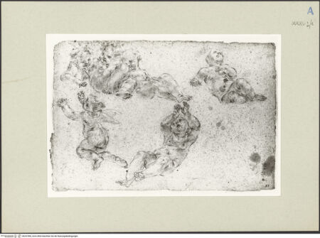 Vorderseite von bh247856_recto