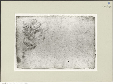 Vorderseite von bh247857_recto