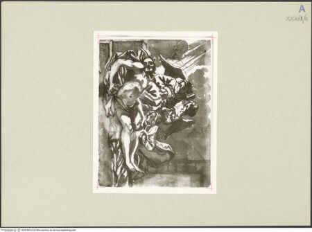 Vorderseite von bh247858_recto