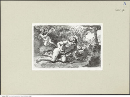 Vorderseite von bh247865_recto